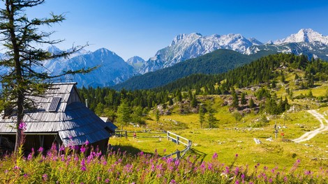 velika planina