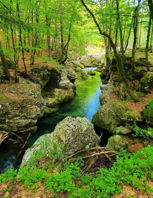 Mostnica korita