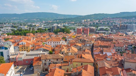 Obalne občine se znova borijo proti nadležnim žuželkam