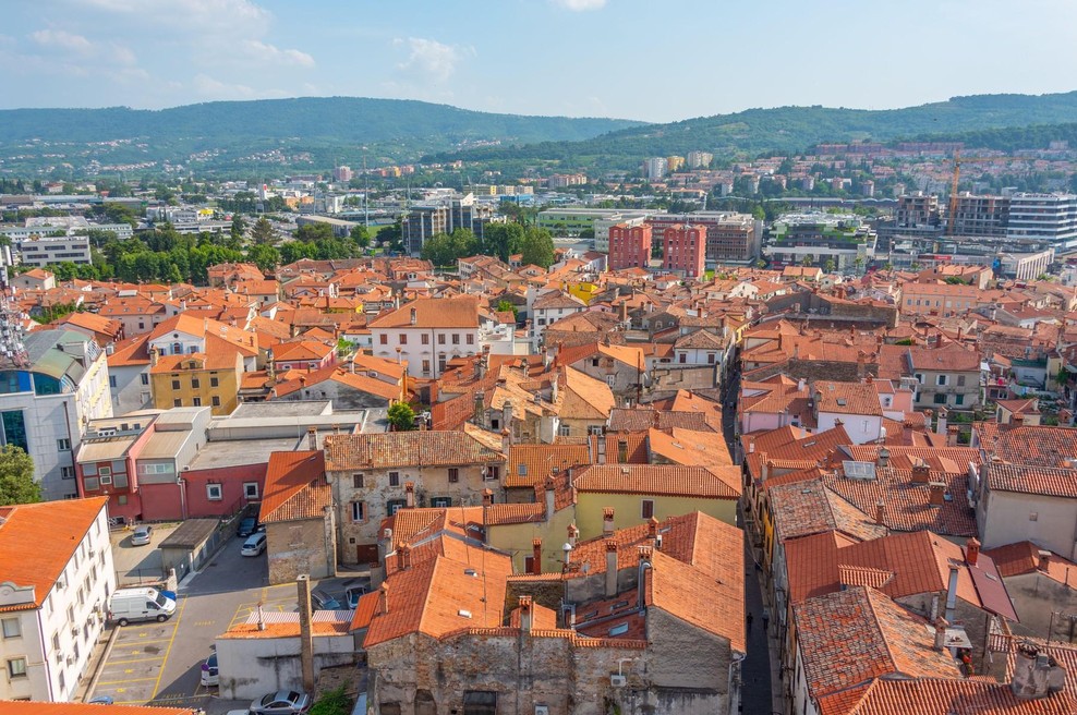 Obalne občine se znova borijo proti nadležnim žuželkam (foto: Profimedia)