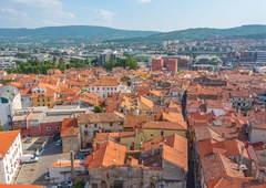 Obalne občine se znova borijo proti nadležnim žuželkam