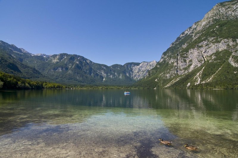 Bohinj