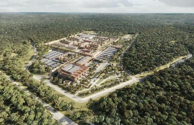 Globoko v gozdu bo zrastlo nekaj, čemur se ne bo želela približati živa duša