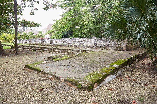 Maji civilizacija zlom človeštvo DNK raziskava znanstveniki
