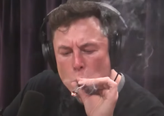 Je Elon Musk med Trumpovo predsedniško kampanjo jemal droge?