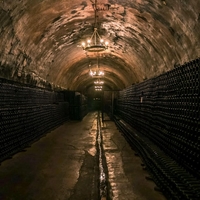 Avstralija vino vinska klet