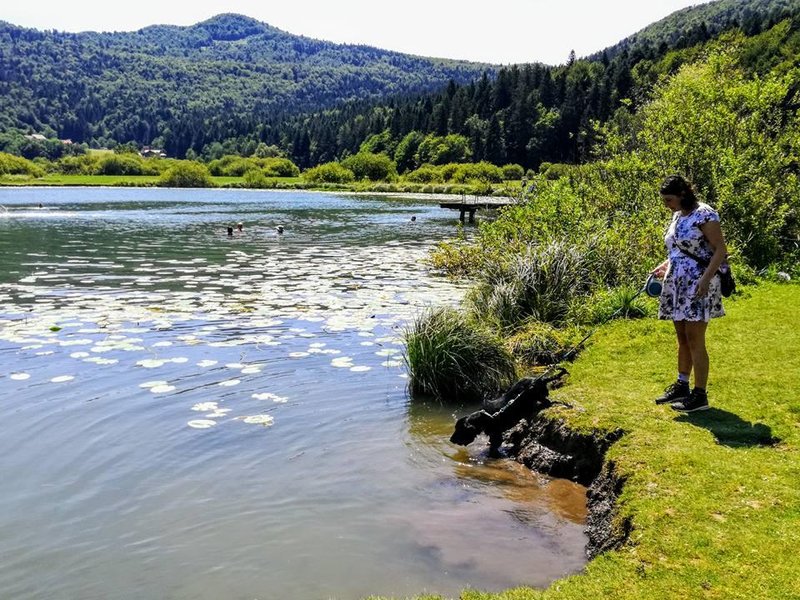 Podpesko jezero