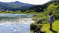 Podpesko jezero
