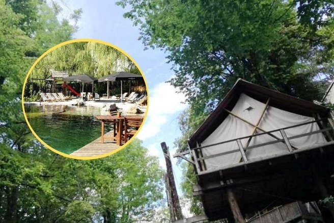 Garden Village Bled drevo hiska hiska na drevesu