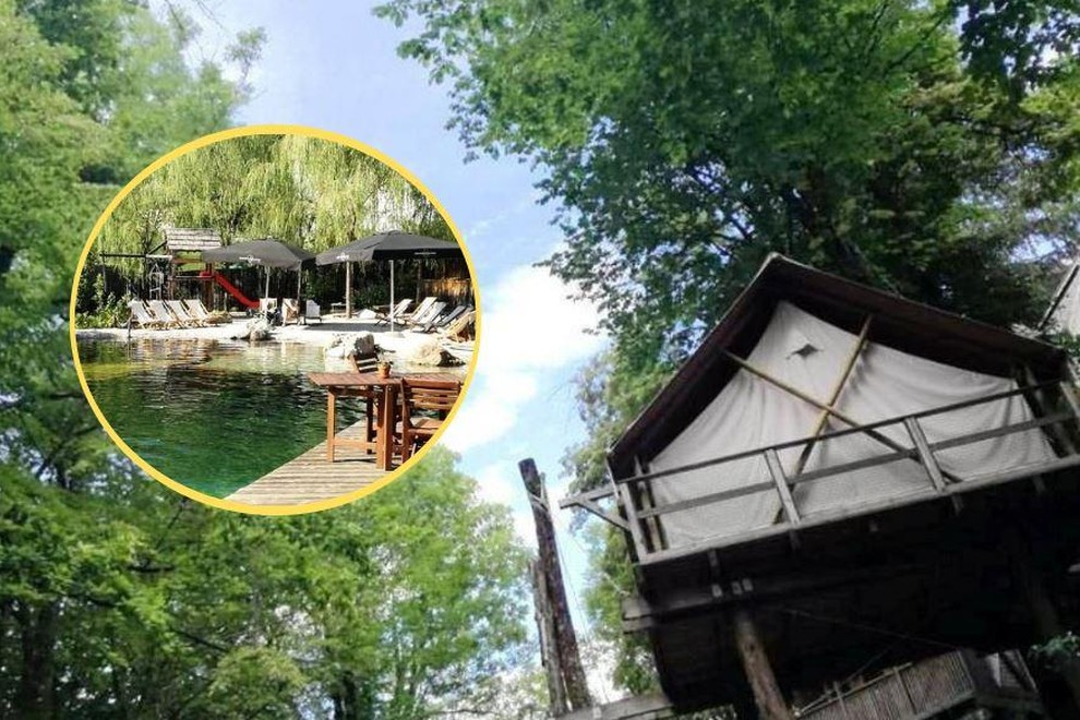 Garden Village Bled drevo hiska hiska na drevesu