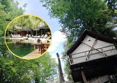 Je to najbolj iskana (skrita) nočitev v Sloveniji? Turisti za spanje na drevesih plačujejo na stotine evrov — poletni termini so že razprodani! (FOTO)
