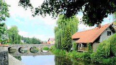 Ribnica