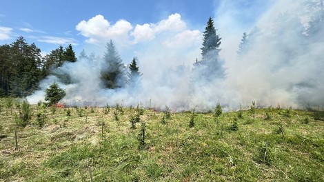 Zagorelo v gozdu med Smlednikom in Trbojami: na terenu okoli 60 gasilcev (FOTO)