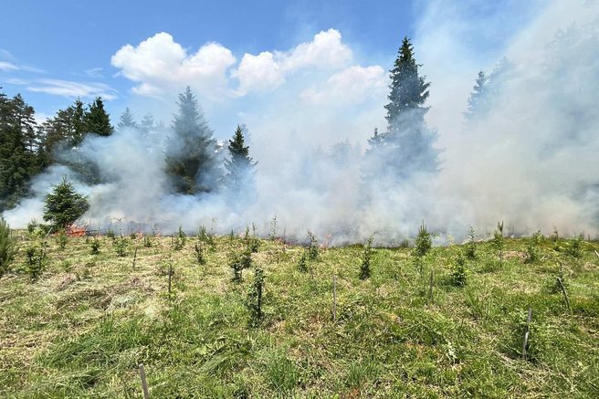 Zagorelo v gozdu med Smlednikom in Trbojami: na terenu okoli 60 gasilcev (FOTO)