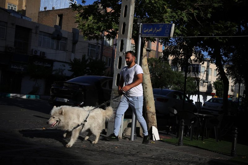 Iran, pes