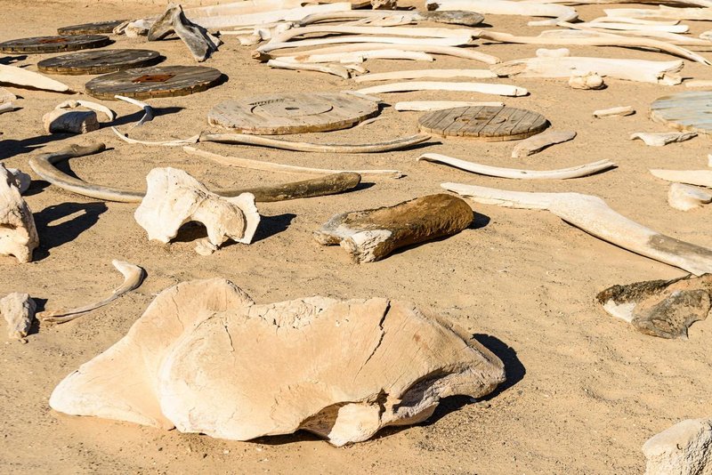 Je to najnevarnejša plaža na svetu? Rečejo ji 'konec sveta', le redkokdo si jo upa obiskati