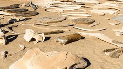 Je to najnevarnejša plaža na svetu? Rečejo ji 'konec sveta', le redkokdo si jo upa obiskati