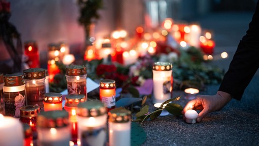 Po pokolu na avstrijski gimnaziji avstrijska vlada napovedala poostritev zakonodaje