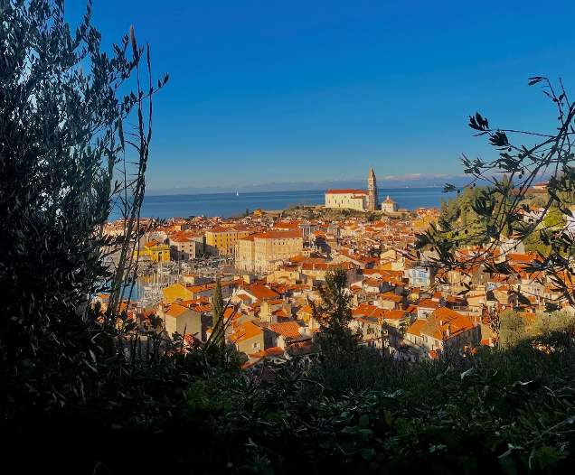 piran razgled obzidje