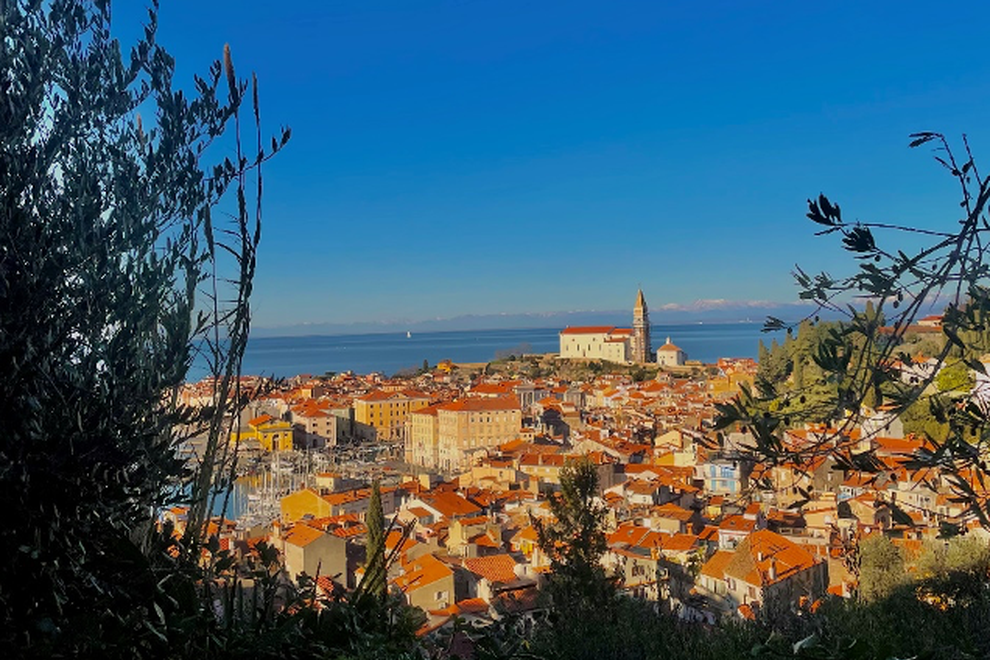 piran razgled obzidje