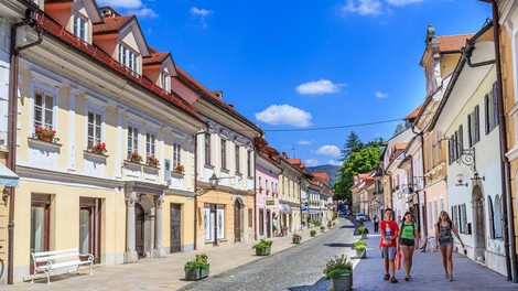 Anketa pokazala globoko razklanost Slovencev glede obrambne prihodnosti