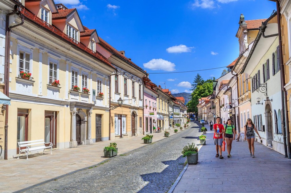Anketa pokazala globoko razklanost Slovencev glede obrambne prihodnosti (foto: Profimedia)