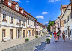 Anketa pokazala globoko razklanost Slovencev glede obrambne prihodnosti