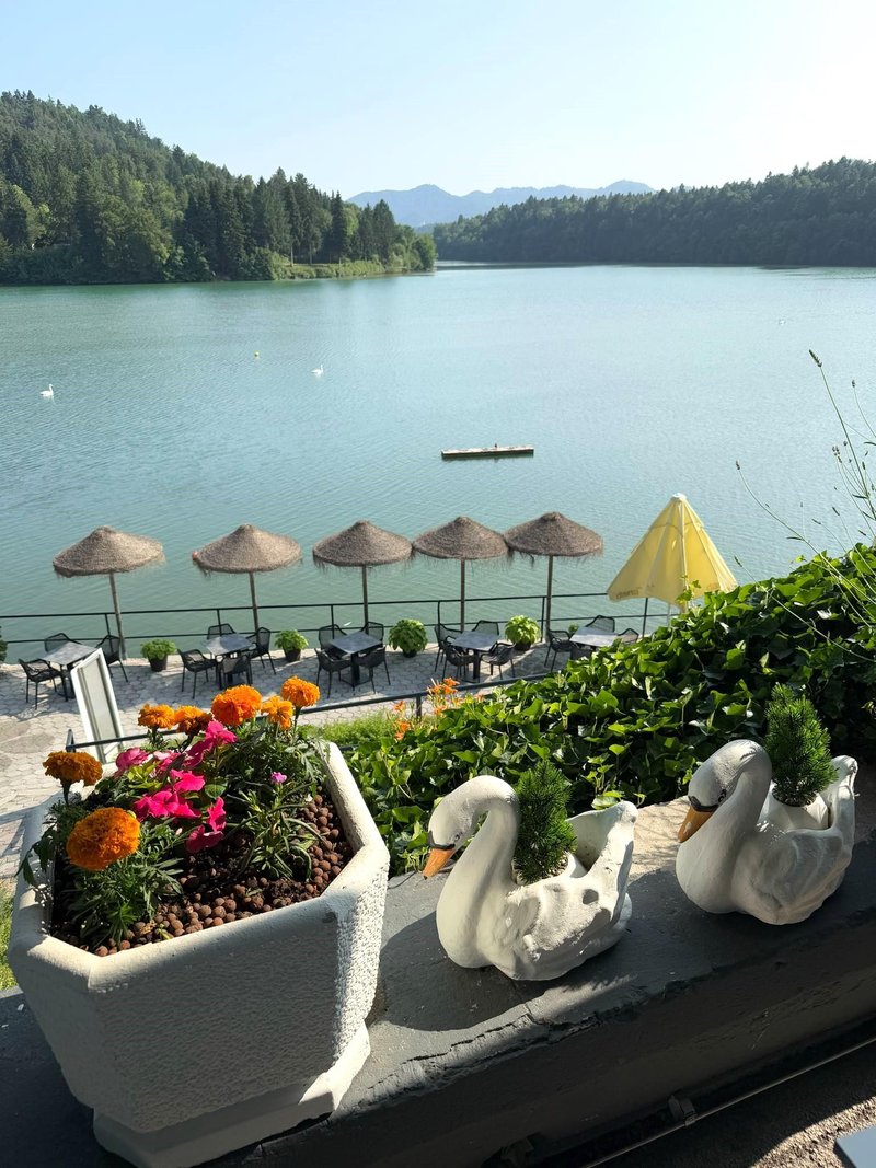 Zbiljsko jezero razgled
