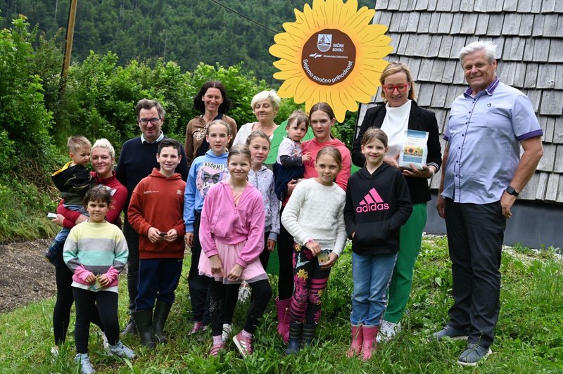 Sončnice Slovenskih železnic zasajene tudi v Ljubljani in Bohinju, projekt vključil še več občin