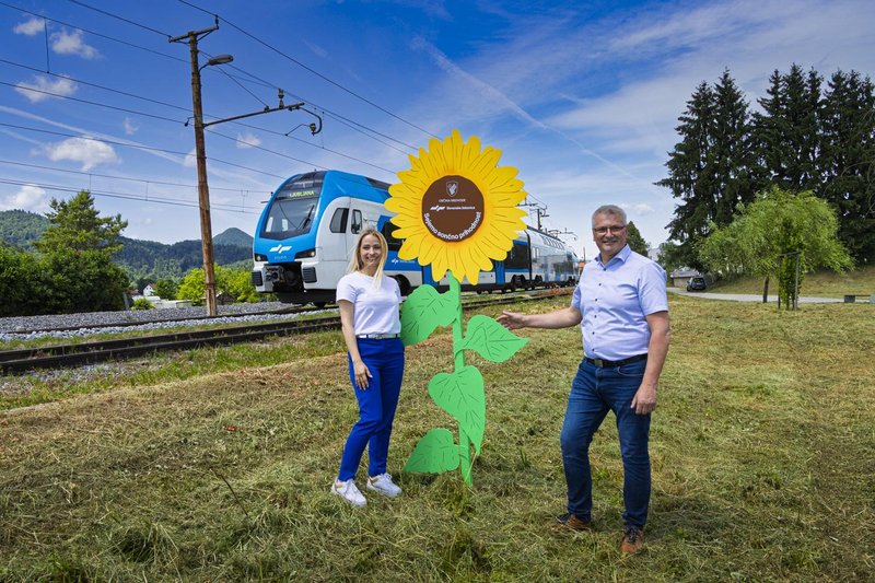 Sončnice Slovenskih železnic zasajene tudi v Ljubljani in Bohinju, projekt vključil še več občin