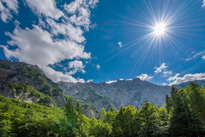 sonce
