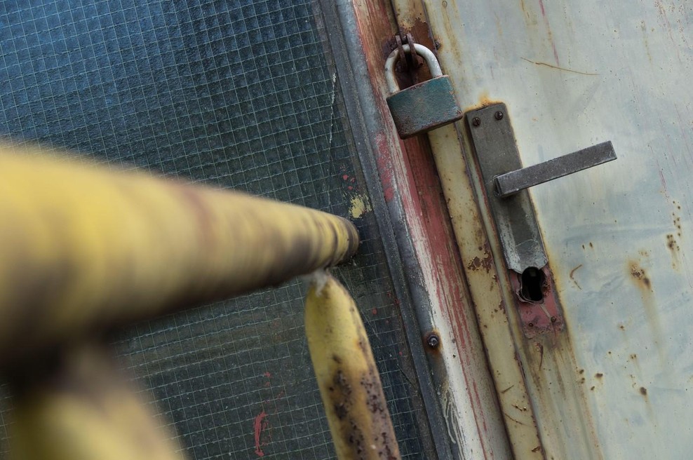 Stečajni masaker se nadaljuje: znano podjetje razglasilo bankrot, vodstvo z varnostniki nad zaposlene (foto: Profimedia)