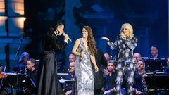 Poletna noč 2025 festival Ljubljana