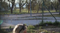 Aneja Kramer blaž Kramer Turčija psi pomoč