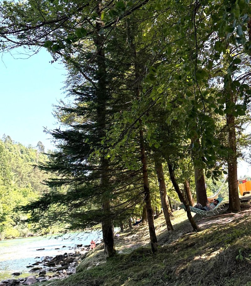 Eco River Camp Sava