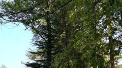 Eco River Camp Sava