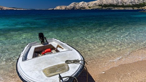 Jadran Jadransko morje Hrvaška znanstveniki raziskava ribe morje voda zdravje