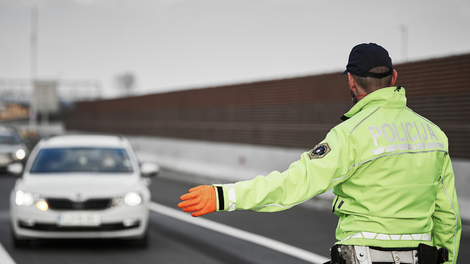 policija, policist