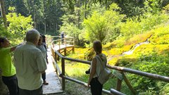 Lehnjakov izvir Spodnje Jezersko pohodniki