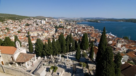 Ali ste vedeli, da je ta svetovno znana pasma psov pravzaprav iz Hrvaške? Zdaj imajo svoj muzej