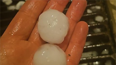 Noč je bila vse prej kot mirna: toča na Štajerskem in Notranjskem, močan veter, številna podrta drevesa ... (FOTO)