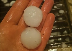 Noč je bila vse prej kot mirna: toča na Štajerskem in Notranjskem, močan veter, številna podrta drevesa ... (FOTO)