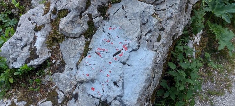 poškodbe markacij
