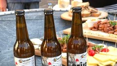 Kamnik pivo degustacija