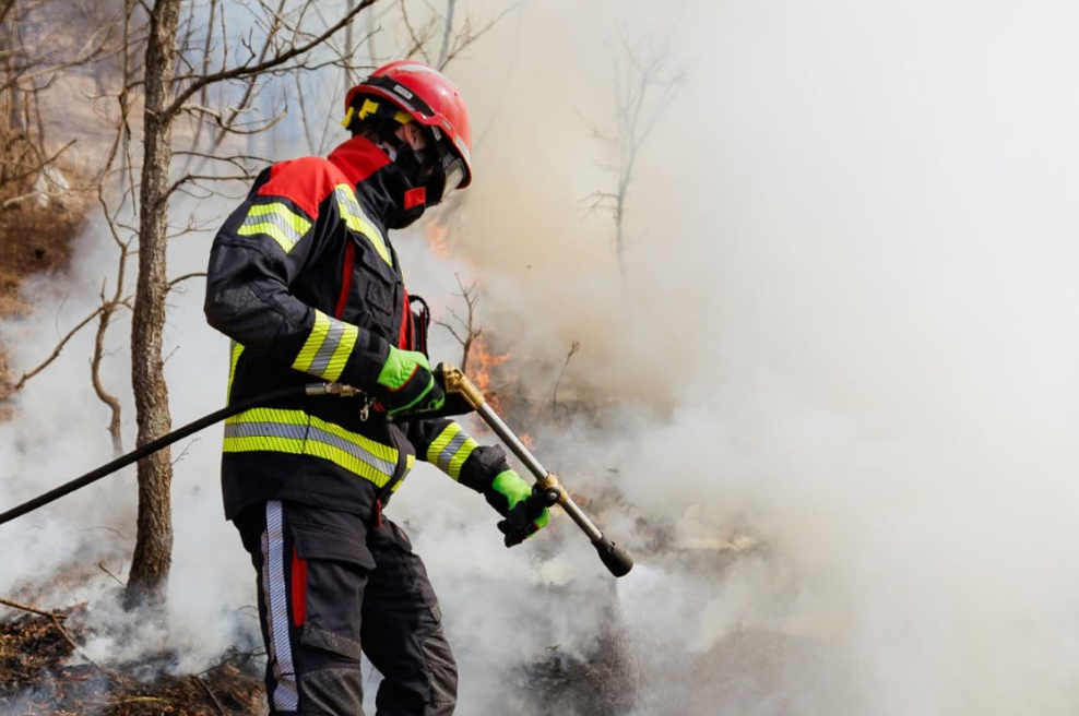 Obsežen gozdni požar pri Ljubljani: ogenj se je približal hišam, več prebivalcev evakuirali (foto: Facebook/Gasilska brigada Ljubljana)