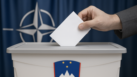 Nato, referendum