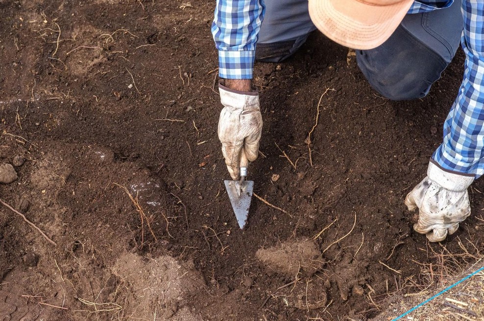 Arheologom uspelo izjemno odkritje: med izkopavanjem so naleteli na osupljivo najdbo (foto: Profimedia)