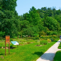 Neverjetna pot tropskih rastlin do Ljubljane – jih je preživelo dovolj?
