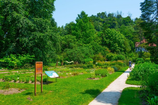 Neverjetna pot tropskih rastlin do Ljubljane – jih je preživelo dovolj?