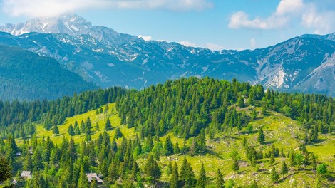 Velika Planina